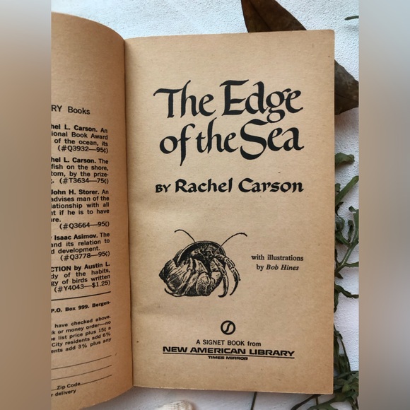 The Edge Of The Sea by Rachel Carson, w/ 160+ illustrations by Bob Hines, 1955 - Picture 12 of 15